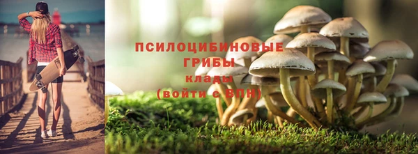 ешки Лагань