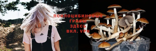 прущая мука Ладушкин
