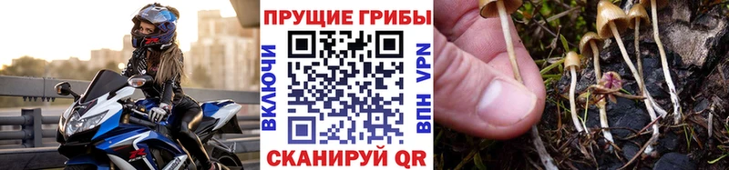 Псилоцибиновые грибы Magic Shrooms  Дыгулыбгей 